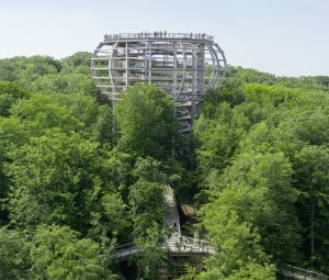 Baumwipfelpfad im Naturerbe Zentrum Rügen